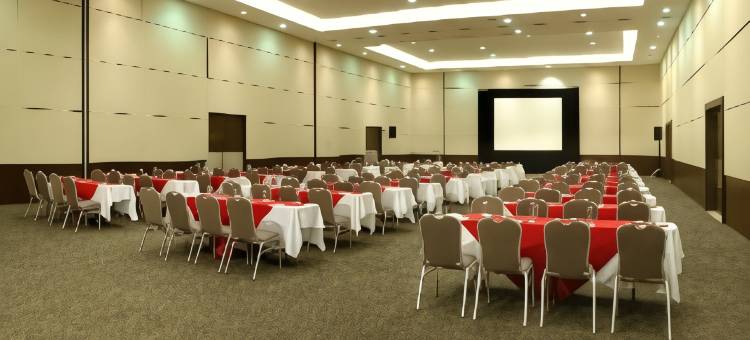 墨西哥城机场T2航站楼NH典藏酒店(NH Collection Airport T2)图片