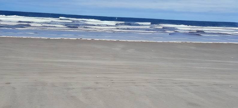 绒杜父汽车旅馆(Sea Raven Motel)图片