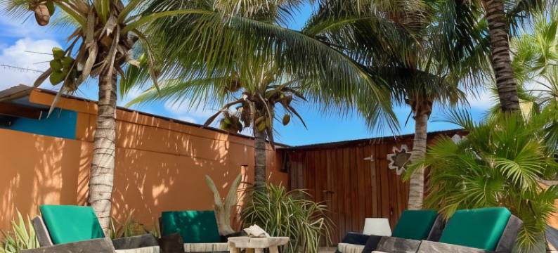 绿洲旅馆(Oasis Guesthouse, Boutique Style Hotel)图片