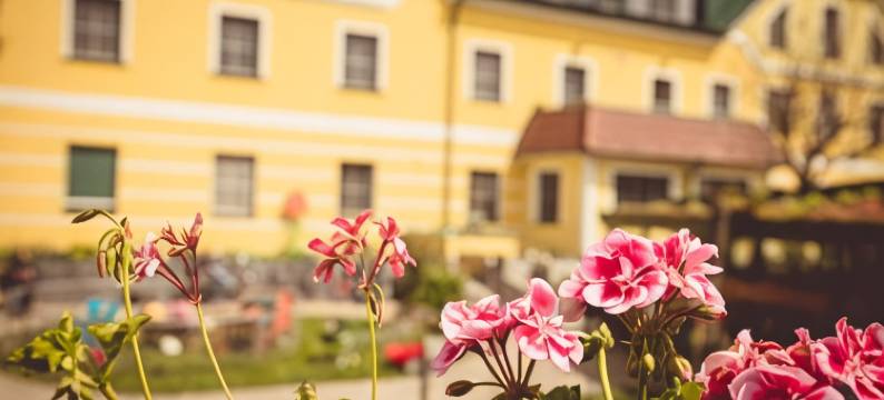 肯德勒霍夫农家乐(Kerndlerhof)图片