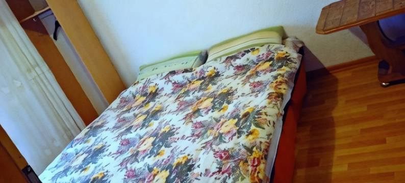 希瑞斯提瓦宾馆(Guest House Hristiva)图片