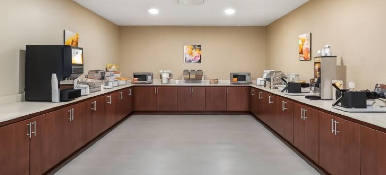 埃姆斯爱荷华州立大学校园附近舒适套房酒店(Comfort Inn and Suites Ames Near Isu Campus)图片