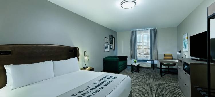 帕索罗伯斯牛津套房酒店(Oxford Suites Paso Robles)图片