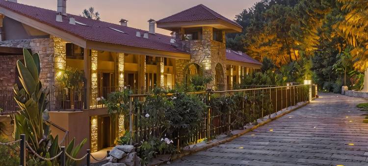 马蒂赫米塔酒店(Marti Hemithea Hotel)图片