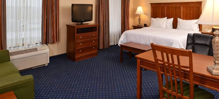 希尔顿欢朋套房酒店-南弗雷德里克斯堡(Hampton Inn & Suites Fredericksburg South)图片
