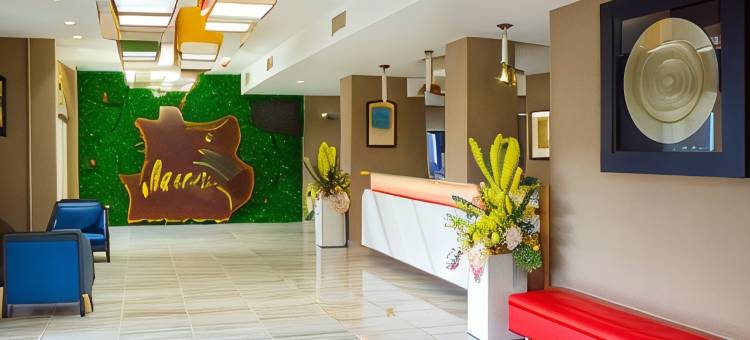 梅里纳酒店(Merina Hotel)图片