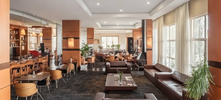 南卡希亚斯城际酒店(Intercity Caxias do Sul)图片