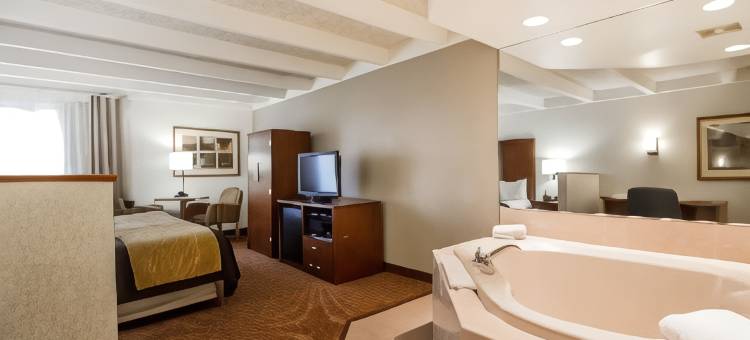 舒适酒店及套房麦迪逊机场(Comfort Inn & Suites Madison - Airport)图片