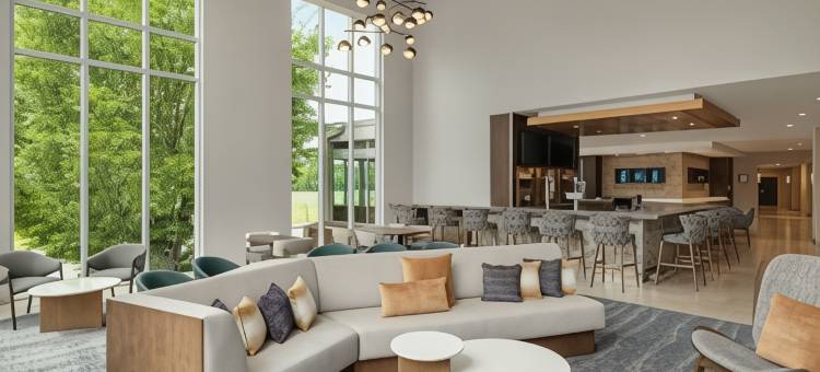 罗阿诺克万豪SpringHill酒店(SpringHill Suites Roanoke)图片