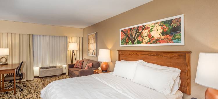 史蒂文斯角假日酒店 - 会议中心(Holiday Inn STEVENS POINT - CONVENTION CTR by IHG)图片