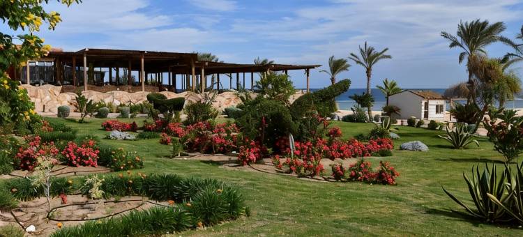 瓦迪拉米海岸度假村(Wadi Lahmy Azur Resort - Soft All-Inclusive)图片