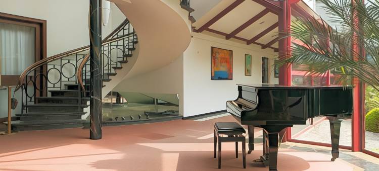 德美第奇金色郁金香酒店(Golden Tulip Hotel de Medici)图片