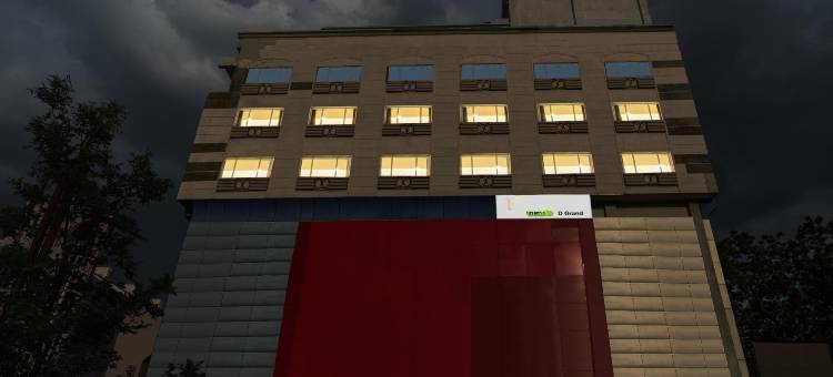 Treebo D Grand图片