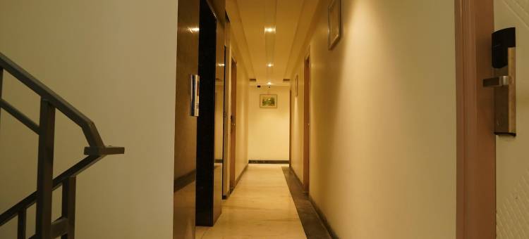 西恩斯塔三重奏(Ciesta Treeo)图片