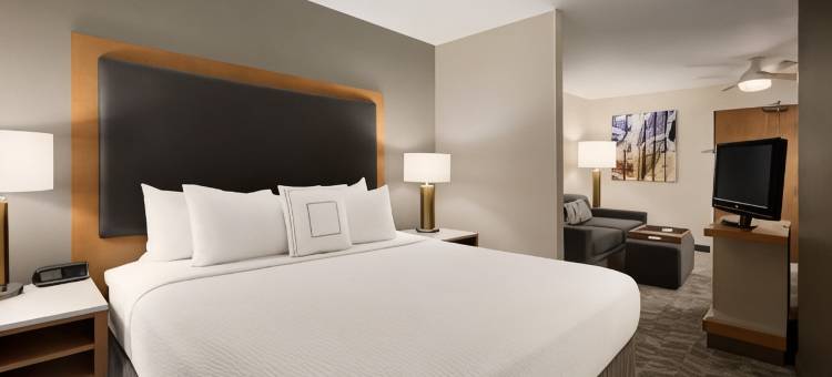 凤凰城北万豪SpringHill酒店(SpringHill Suites Phoenix North)图片