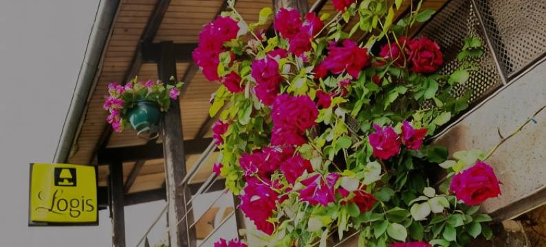 贝尔维餐厅酒店(Logis Hôtel Belle Vue)图片