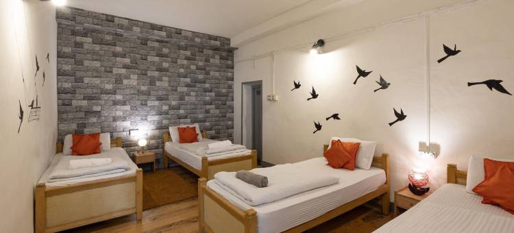 科代卡那左思特酒店(Zostel Kodaikanal)图片