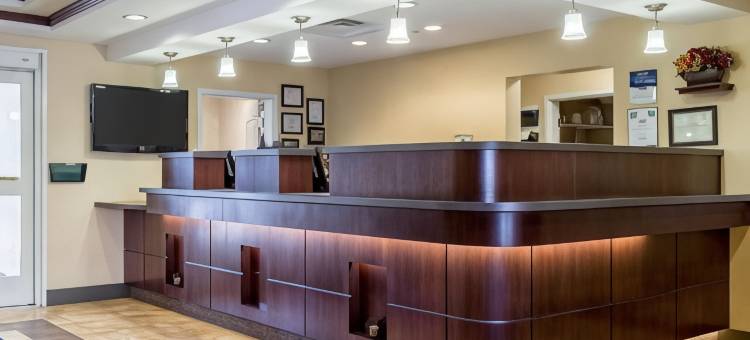 迈诺特美茵斯坦套房酒店(MainStay Suites Minot)图片