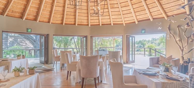 The Last Word Kitara图片