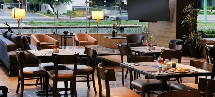 智选假日套房酒店蒙特雷广场TANARAH(Holiday Inn Express & Suites Monterrey Valle)图片