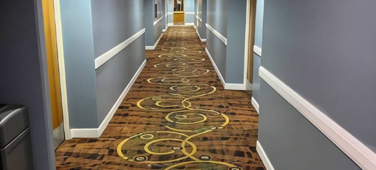 舒适酒店-近赫斯特城堡-坎布里亚(Comfort Inn Near Hearst Castle - Cambria)图片