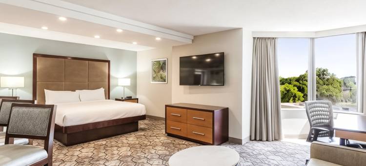 孟菲斯逸林酒店(DoubleTree by Hilton Memphis)图片