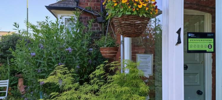 安东住宿加早餐旅馆(Anton Guest House Bed and Breakfast)图片