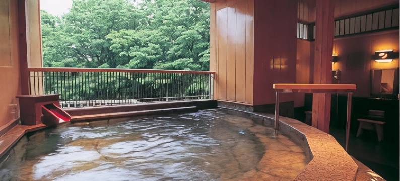 美山酒店(Hotel Miyama)图片