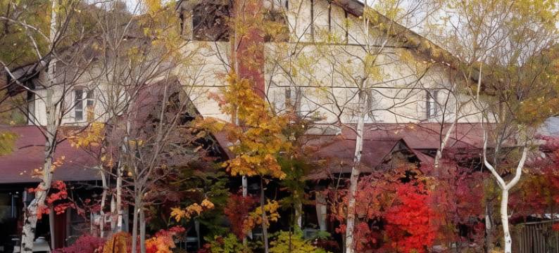 美食之宿 de Vallee Blanche(Auberge de Vallee Blanche)图片