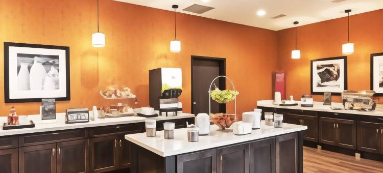 得克萨斯州休斯顿/阿塔斯卡西亚欢朋套房酒店(Hampton Inn & Suites Houston/Atascocita)图片