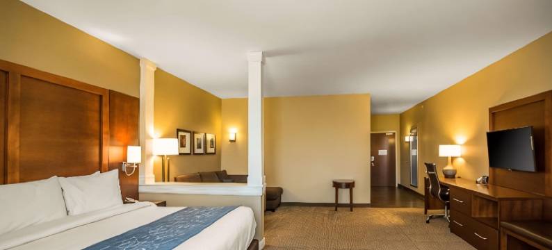 舒适套房酒店(Comfort Suites - Dodge City)图片