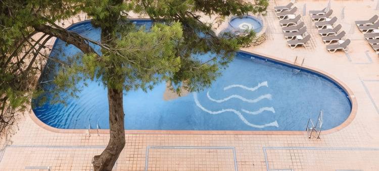 蓝海珊瑚海滩酒店(Bluesea Coral Beach)图片