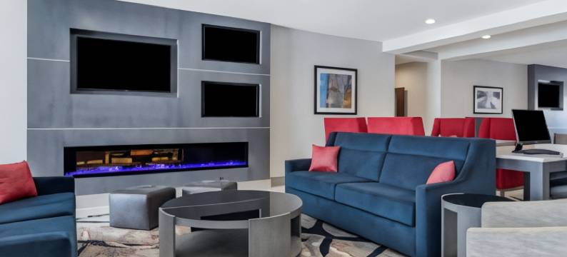 亚特兰大南部麦克多诺舒适套房酒店(Comfort Suites McDonough Atlanta South)图片