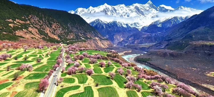 米林索松三忘花园客栈图片