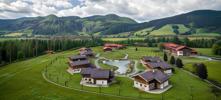 罗莱夏朵古特斯泰恩巴赫木屋酒店(Relais & Châteaux Gut Steinbach Hotel Chalets Spa)图片