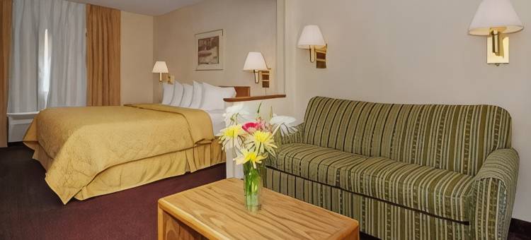 舒适酒店(Comfort Inn)图片