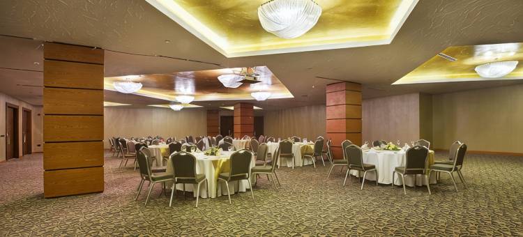 埃尔比勒市中心德德曼酒店(Dedeman Erbil Hotel City Center)图片