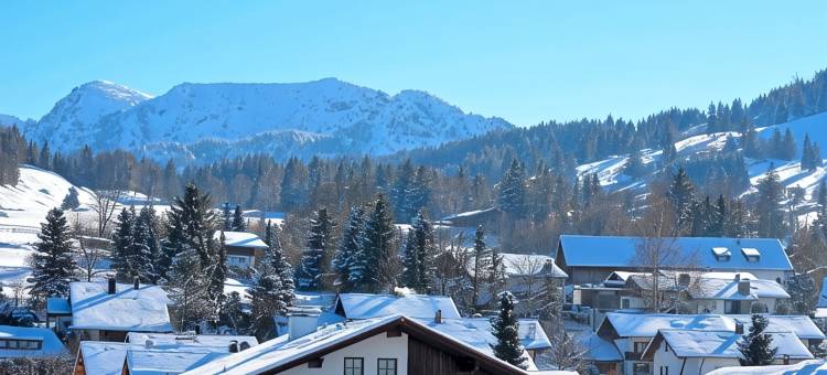 阿尔差勒特斯格弯斯敦酒店(Alpchalet Schwanstein)图片