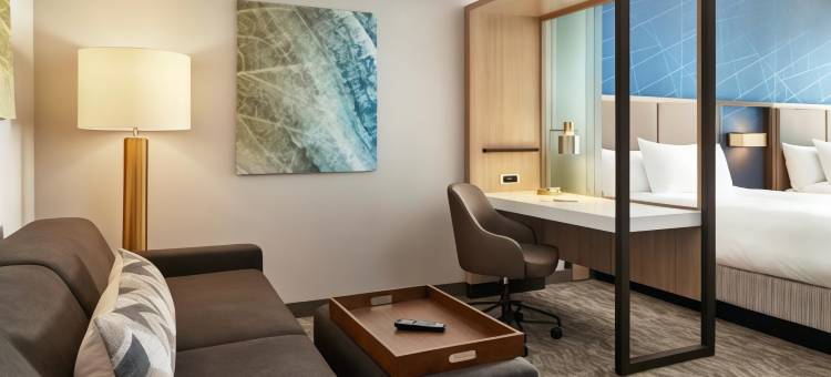 SpringHill Suites Frederica图片