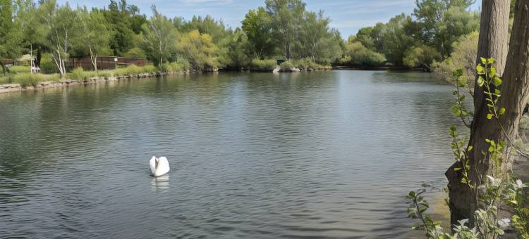 阳光假日-湖边住宅(Vacancéole – les Rives du Lac – Sun Hols)图片