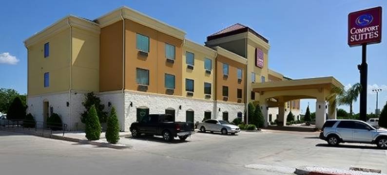 舒适套房酒店(Comfort Suites Bay City)图片