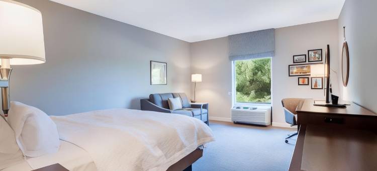 罗彻斯特彭菲尔德希尔顿欢朋酒店(Hampton Inn Rochester-Penfield)图片