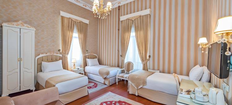 伊斯坦布尔恩德冉酒店(Enderun Hotel Istanbul)图片