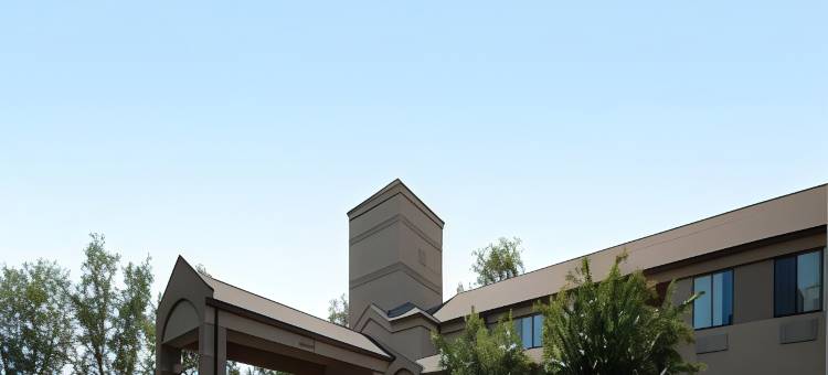 奥尔巴尼南罗德威酒店(Rodeway Inn Albany South)图片