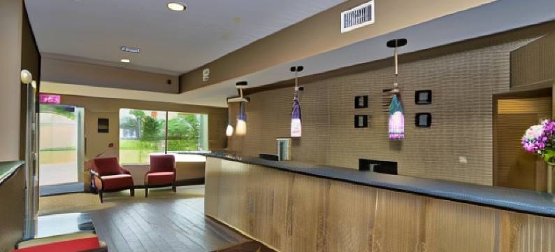 阿巴拉钦/宾汉顿西 17 号公路舒适酒店(Comfort Inn Apalachin / Binghamton W Route 17)图片