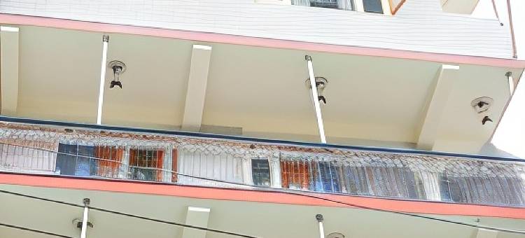 Hotel Magnolia Mallroad Manali图片