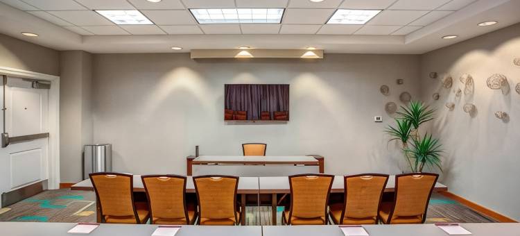 克利尔沃特市中心Residence Inn 酒店(Residence Inn Clearwater Downtown)图片