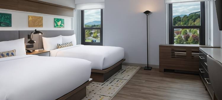 查塔努加市中心英迪格酒店(Hotel Indigo CHATTANOOGA - DOWNTOWN by IHG)图片