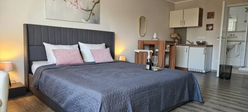 罗森布姆酒店(N Hotel)图片