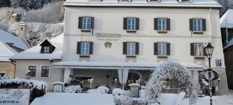 Villa Bucher - Metnitztalerhof图片